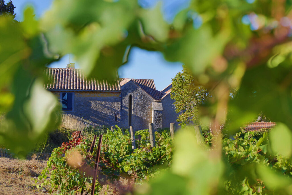 Vue depuis les vignes du Domaine de l'Abbaye des Monges, vins AOP La Clape et vins Coteaux du Languedoc